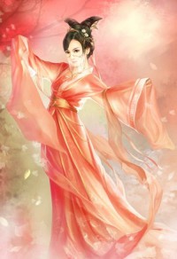 流星年華