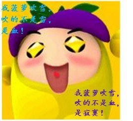 (BL/综武侠同人)菠萝要吹雪!