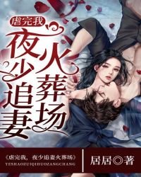 虐完我,夜少追妻火葬场