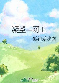 凝望—網王